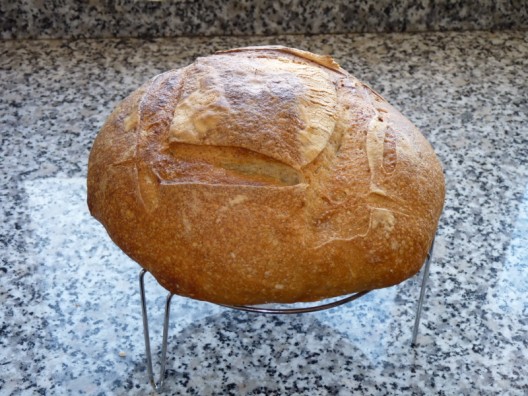 pan2.jpg