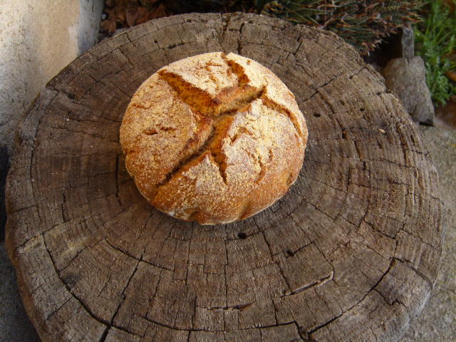 147 Pan de espelta y maíz