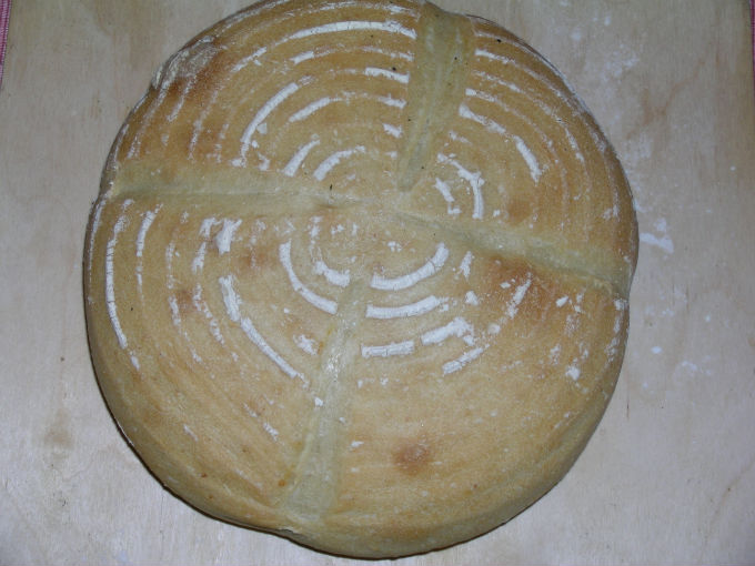 DSCN0397.JPG