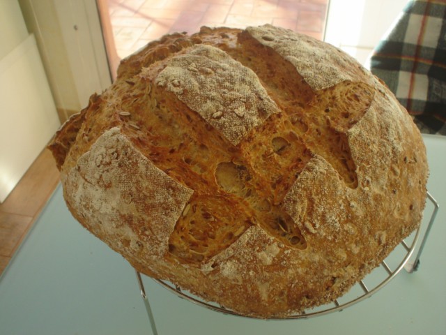 DSC00578 [640x480].JPG