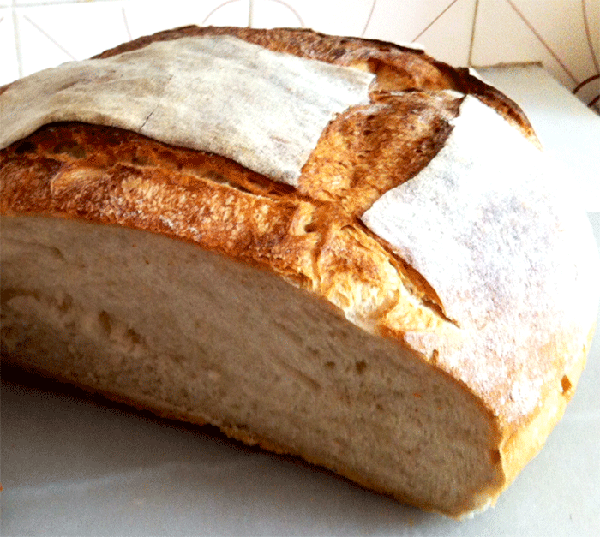 Miga-Sourdough.gif