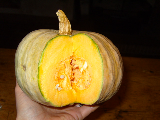 'hort.JPG