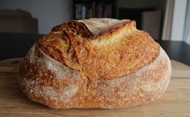 altamura bread.jpg