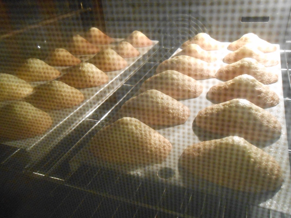 002 - Madeleines de  Comercy.jpg