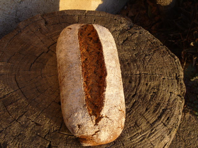 166 Pan de centeno 100%