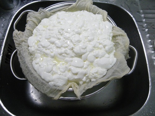 queixo8.jpg