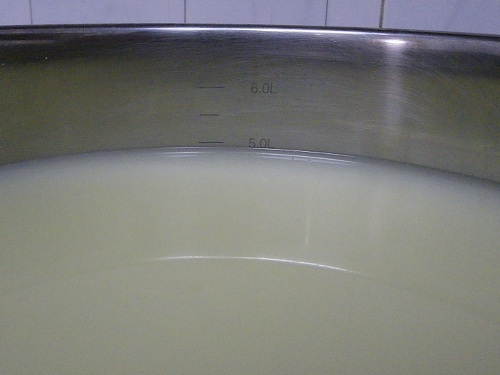 queixo12.jpg