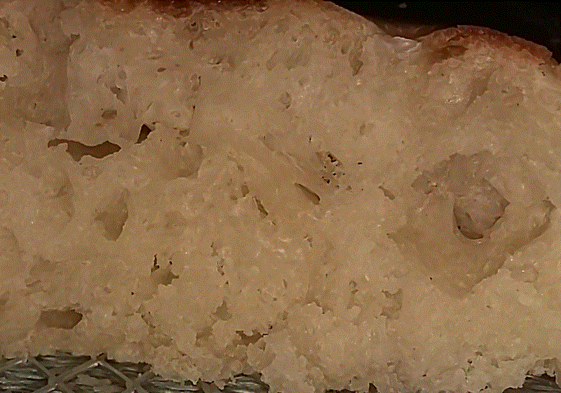 focaccia2.gif