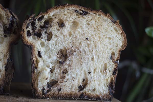 molla panettone.jpg