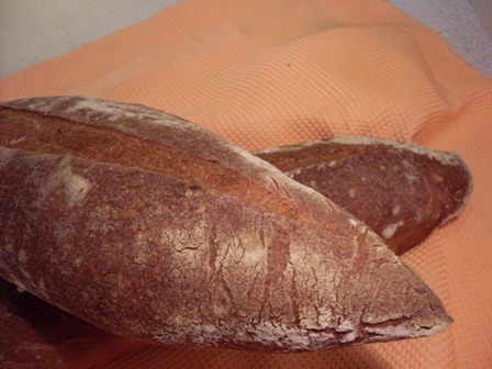 18 - pa de blat, blat de moro i sèrum de llet      D. Lepard.JPG