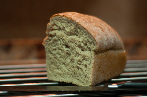 pan integral1.jpg