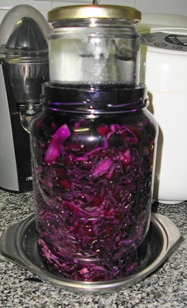 Chucrut Violeta.jpg