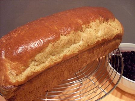 04 - motllo amb farina de blat, blat integral i blat xeixa amb part de  sèrum (molt bo).JPG