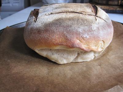 pan desastre.JPG