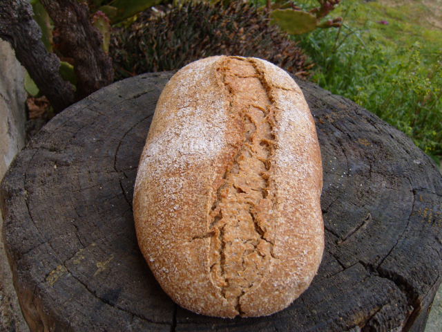 Pan de espelta 100%