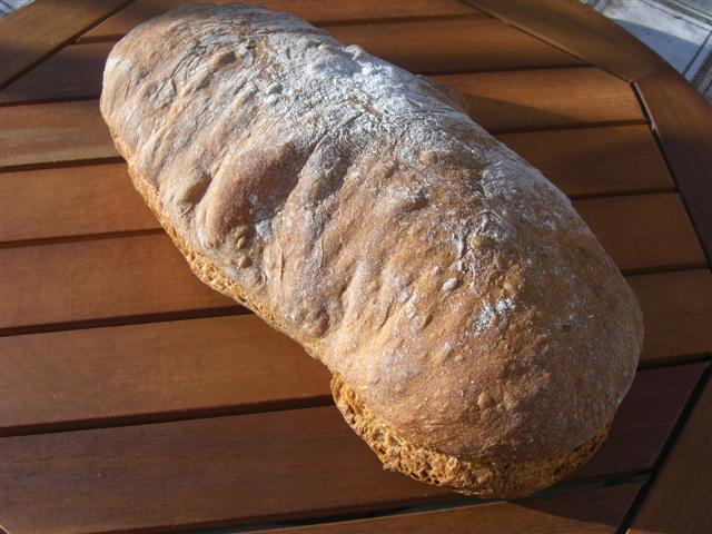 sègol.JPG