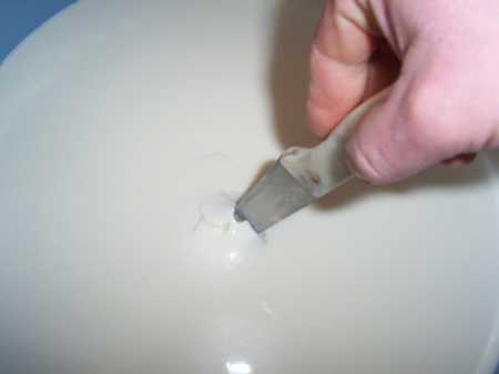 queso 2.jpg