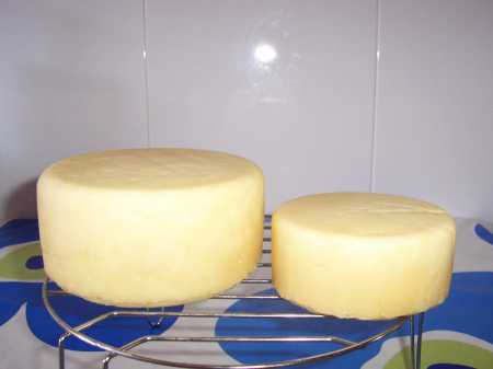 queso 7.jpg