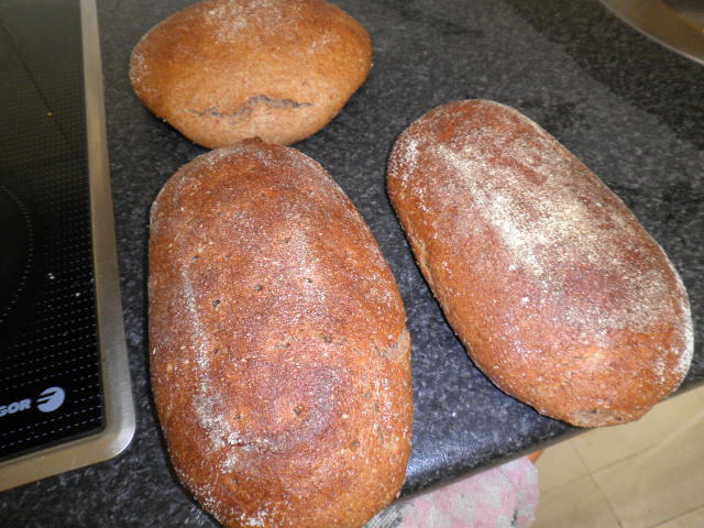 mischbrot 1.JPG