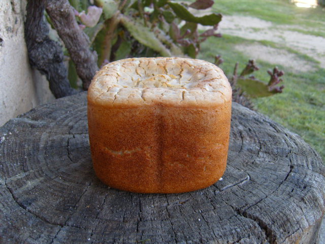 200 pa de kéfir.JPG
