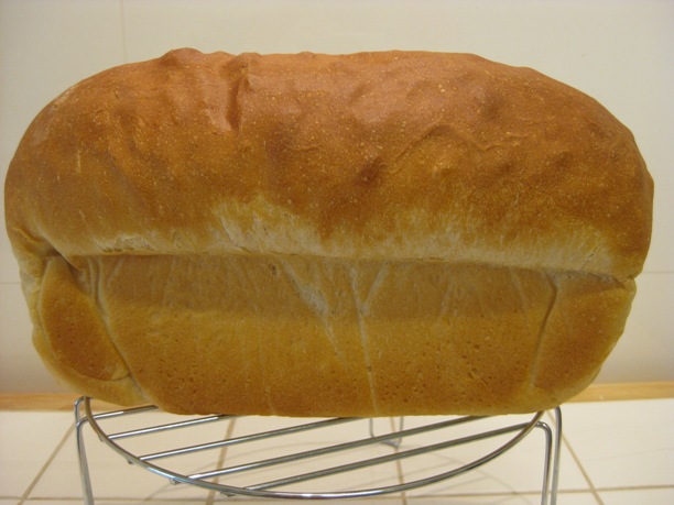 simple white loaf 1.JPG
