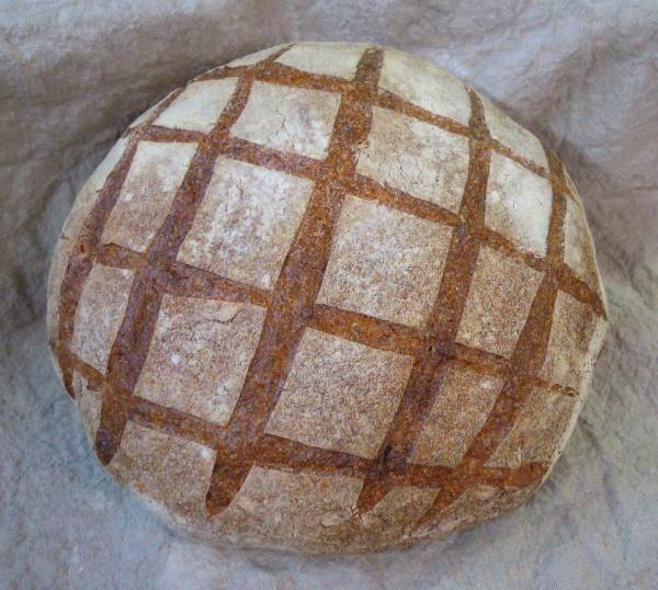 pan int-tg 50% allinson.jpg