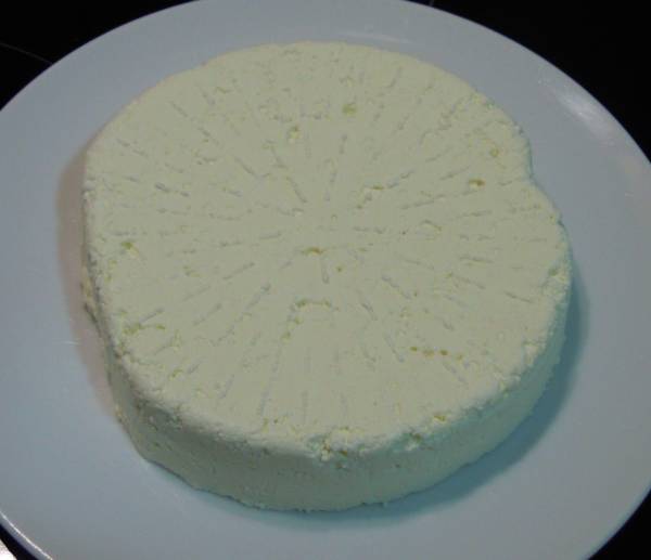mi primer queso.jpg