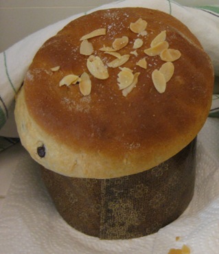 panettone.JPG