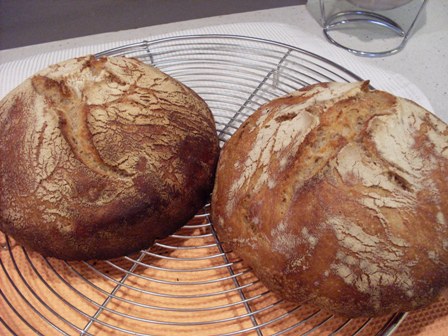 041 - dos pans amb 400 gr farina blat i 100 gr kamut, sense amassar.JPG