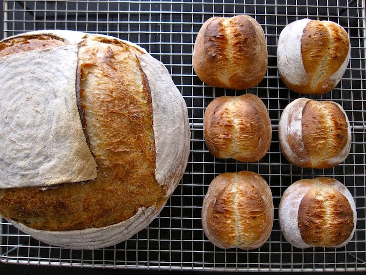 cocotte&llonguets.jpg