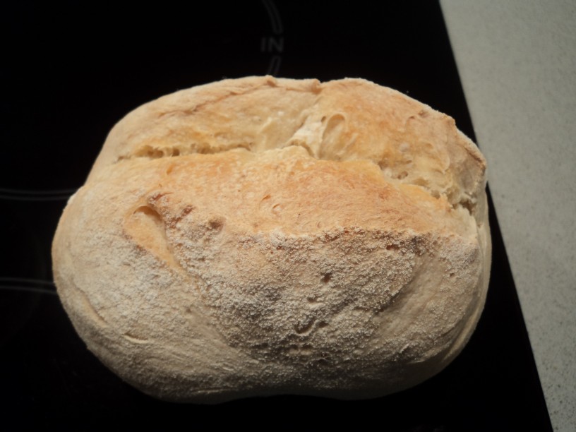 pan 013.jpg