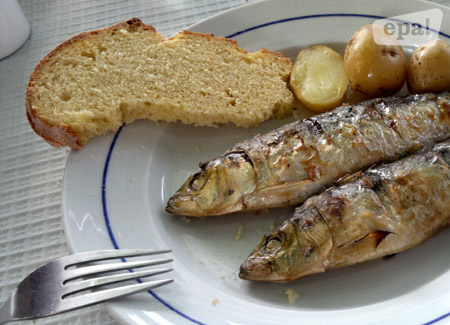 sardinas.jpg