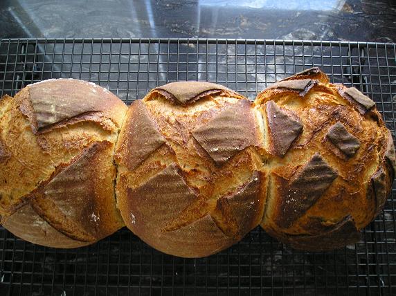 fuera del horno.JPG