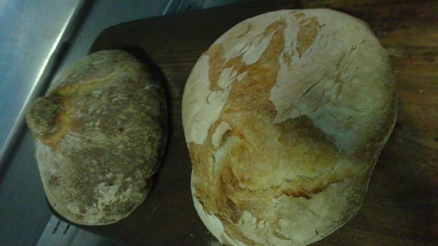 Pan gallego con moño y sin moño