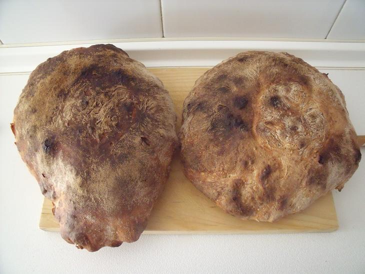 pan gallego3.jpg