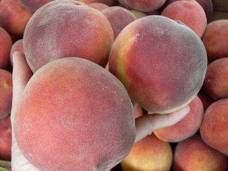 005 - prèssecs.JPG