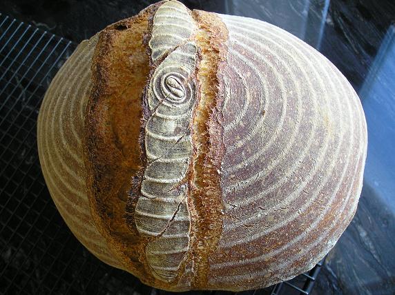 Pan con cordón.JPG