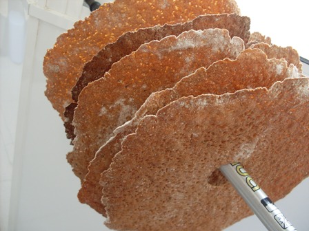 017 - Knäckebröd.JPG