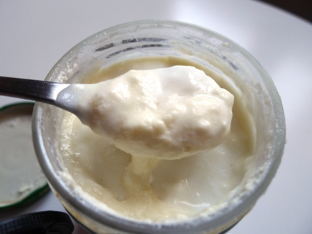 leche fermentada con smetana.jpg