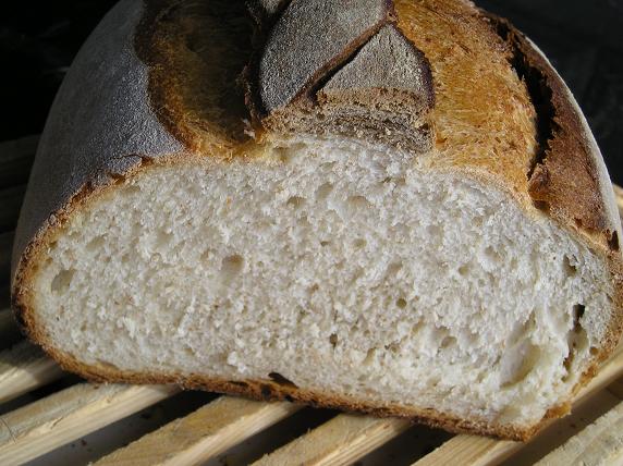 miga pan durum.JPG