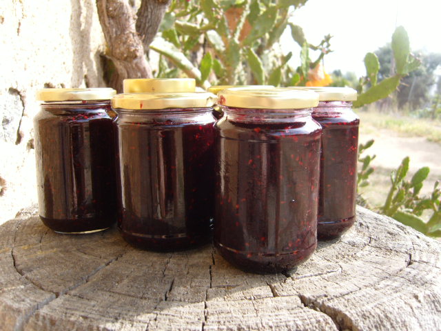 melmelada de cireres i saüc 2011.JPG