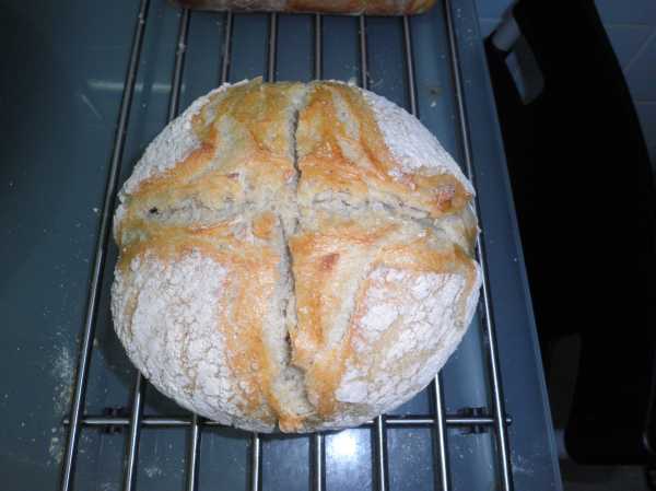pan de espelta blanco