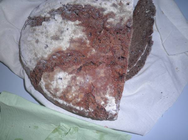 pan ruso tipo &quot;Boina&quot;