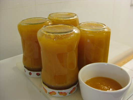 Mermeladas de melocoton vacio.JPG
