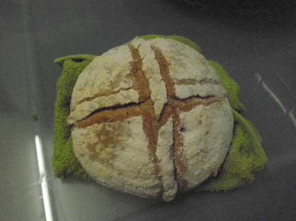 Pan de Espelta, trigo y centeno integral, con cordoncillo.jpg
