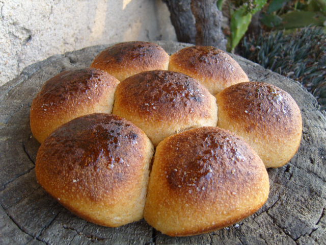 276 brioche marguerite