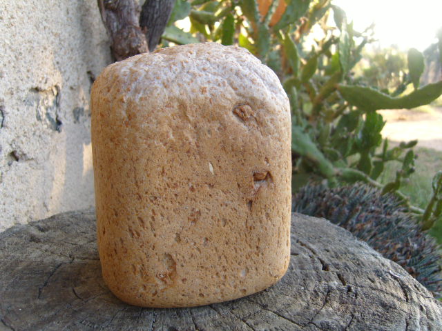 277 blat integral i anous
