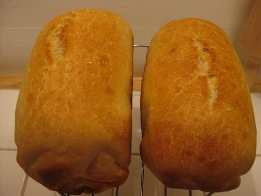 Pan de molde con leche, harinas allison y Rds.JPG