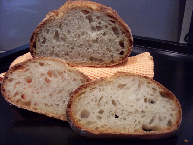 037 - molla.JPG