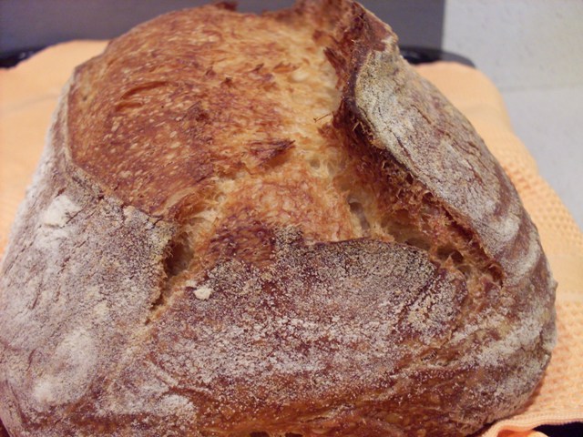 044 - Batard nº2, amb MM.JPG